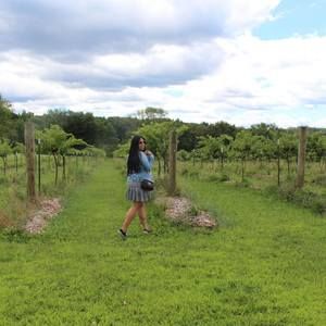 Meet your Posher, Ana